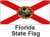 FL Lake Florida Employment Check: Florida Criminal Check. Lake Background Checks